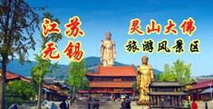 伊人中文视频江苏无锡灵山大佛旅游风景区